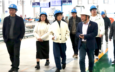 宜賓市經(jīng)合新產局領導來訪遠東電纜（宜賓）